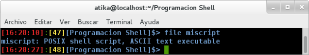 shell_texto plano