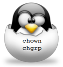 chown_chgrp